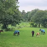 De Blauwe Melkbus Harskamp
