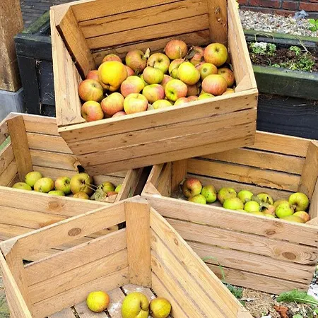 De Blauwe Melkbus 3*