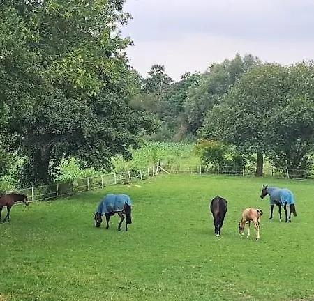 De Blauwe Melkbus Harskamp