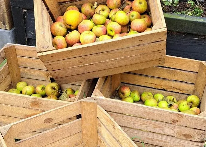 De Blauwe Melkbus 3*