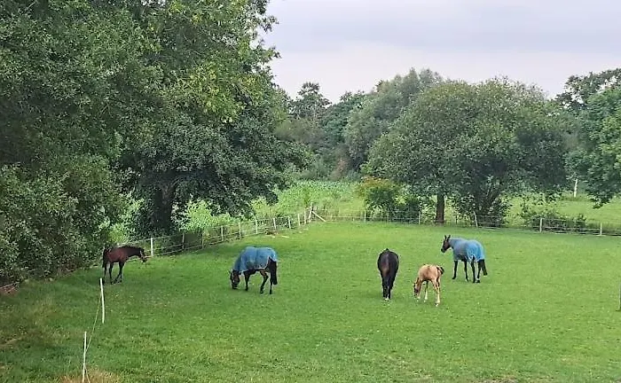 De Blauwe Melkbus Harskamp